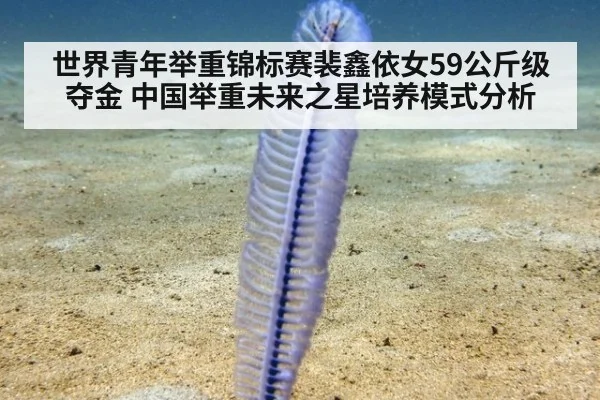 世界青年举重锦标赛裴鑫依女59公斤级夺金 中国举重未来之星培养模式分析