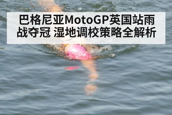 巴格尼亚MotoGP英国站雨战夺冠 湿地调校策略全解析